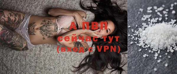 apvp Аркадак