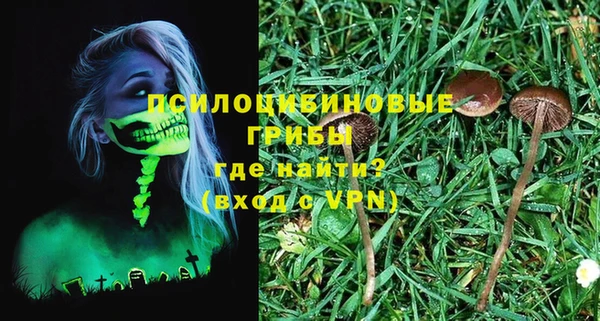 apvp Аркадак
