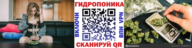 Бошки Шишки White Widow  МЕГА маркетплейс  Балахна 